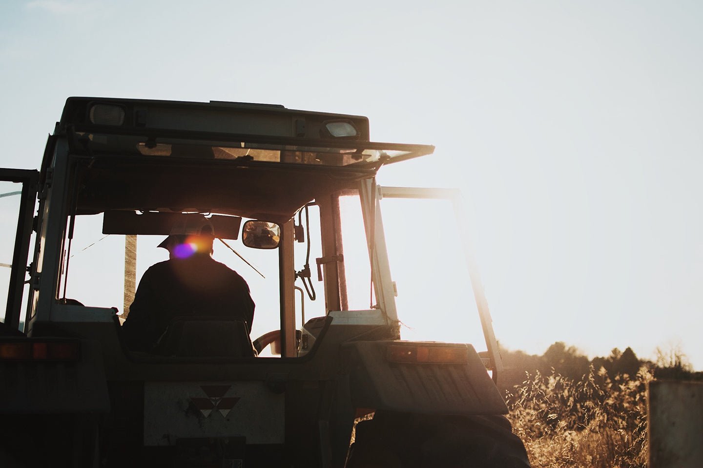 Exploring Regenerative Farming: Eartheasy with Producer Lisa Heenan - Eartheasy
