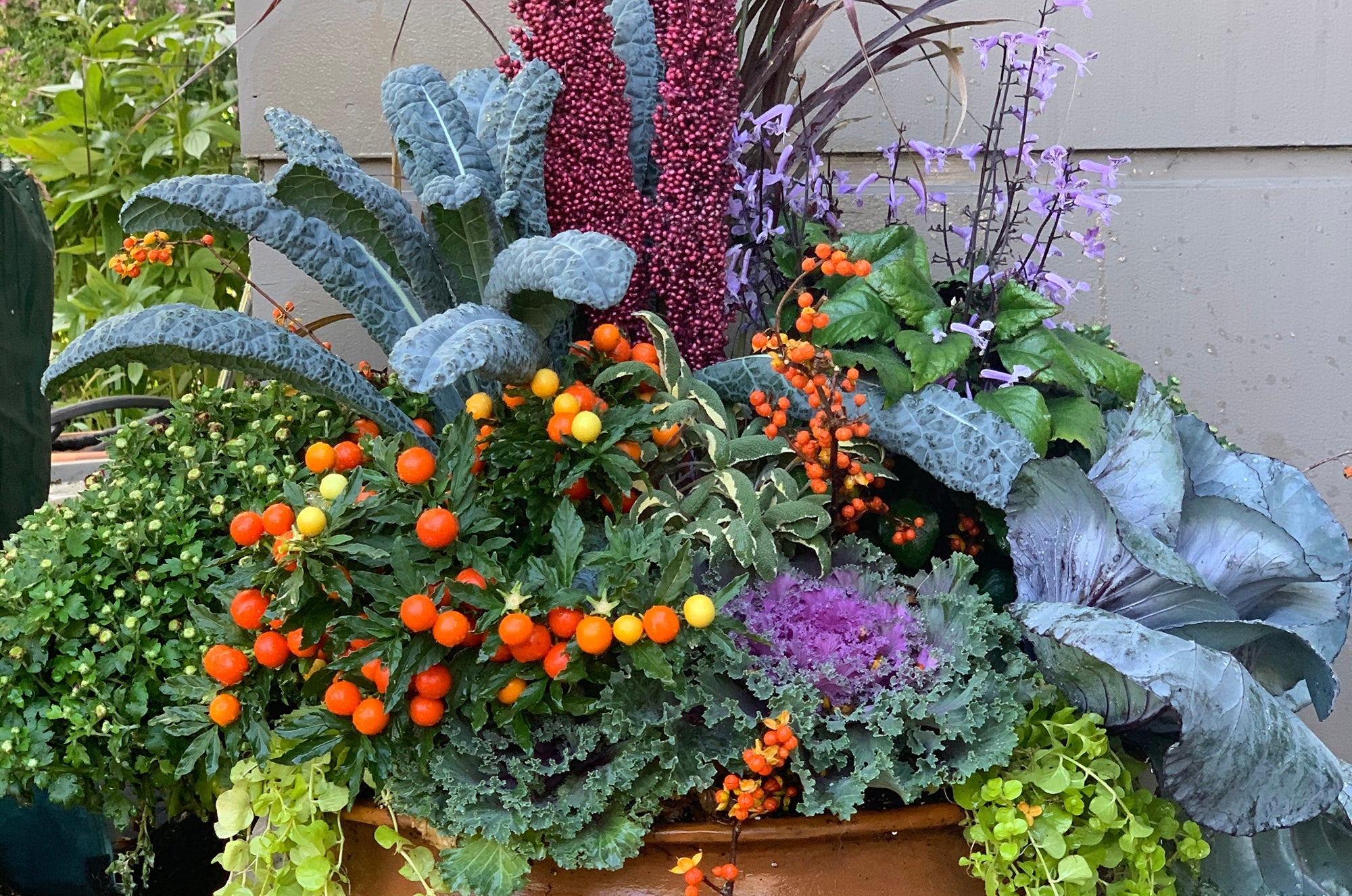 Refresh Your Planter Boxes for Fall