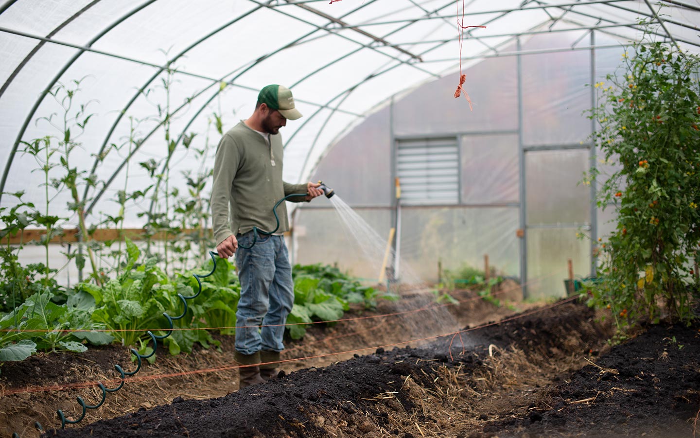 5 Ways to Use Your Greenhouse This Fall