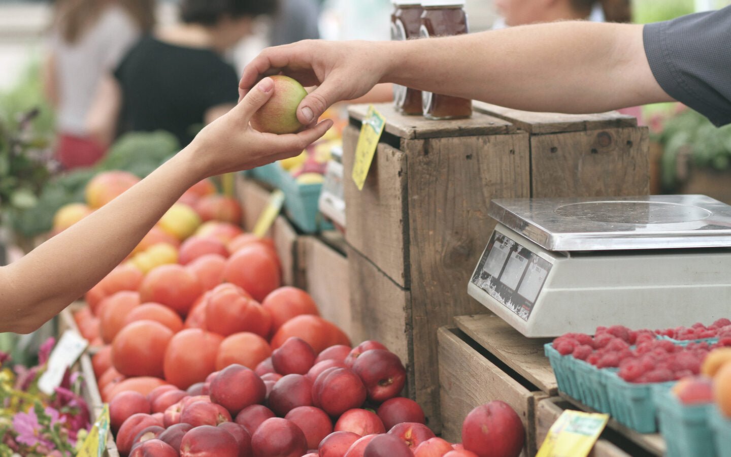 Food Fraud on the Rise - Eartheasy