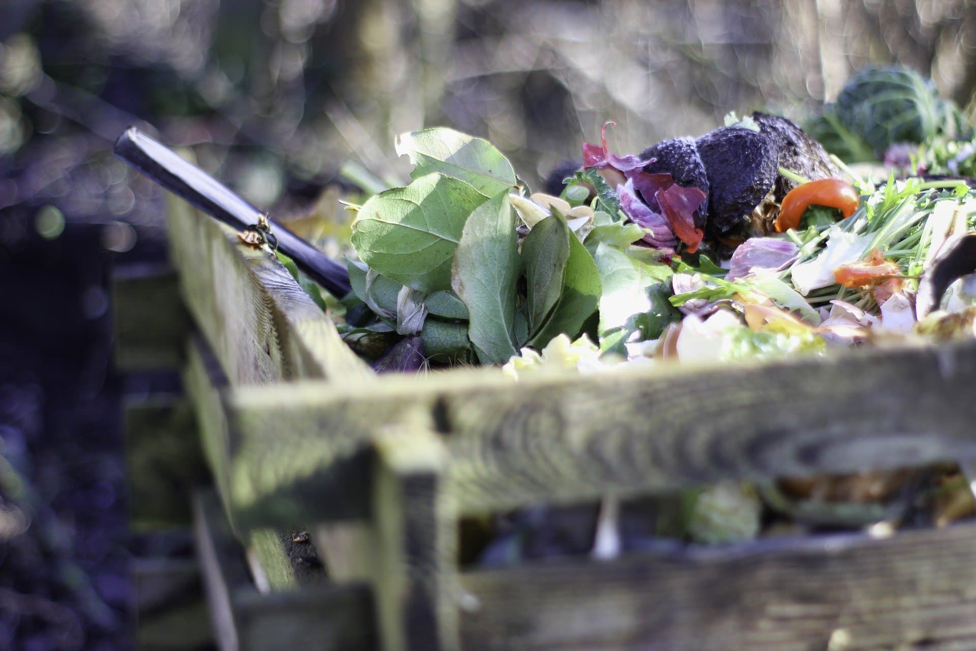 How to Choose the Right Composter