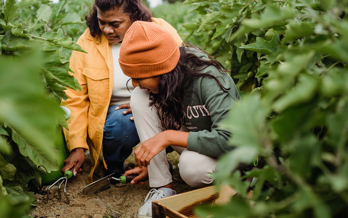 Garden Sharing: Tips for Growing Together