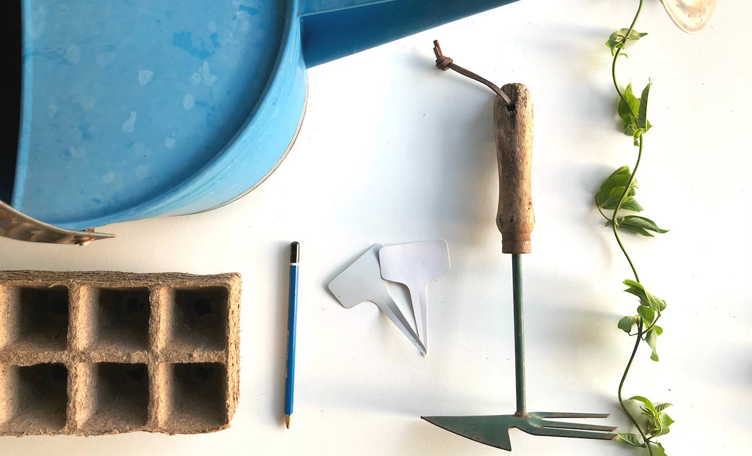 12 Easy Ways to Reduce Plastic in the Garden