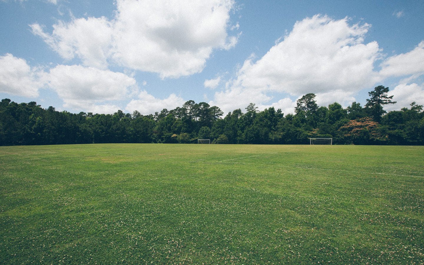 Healthy Lawns, Healthy Lungs? - Eartheasy