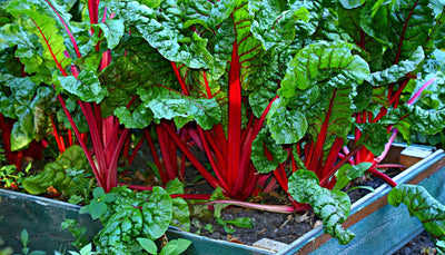 Measuring a raised bed to calculate volume
