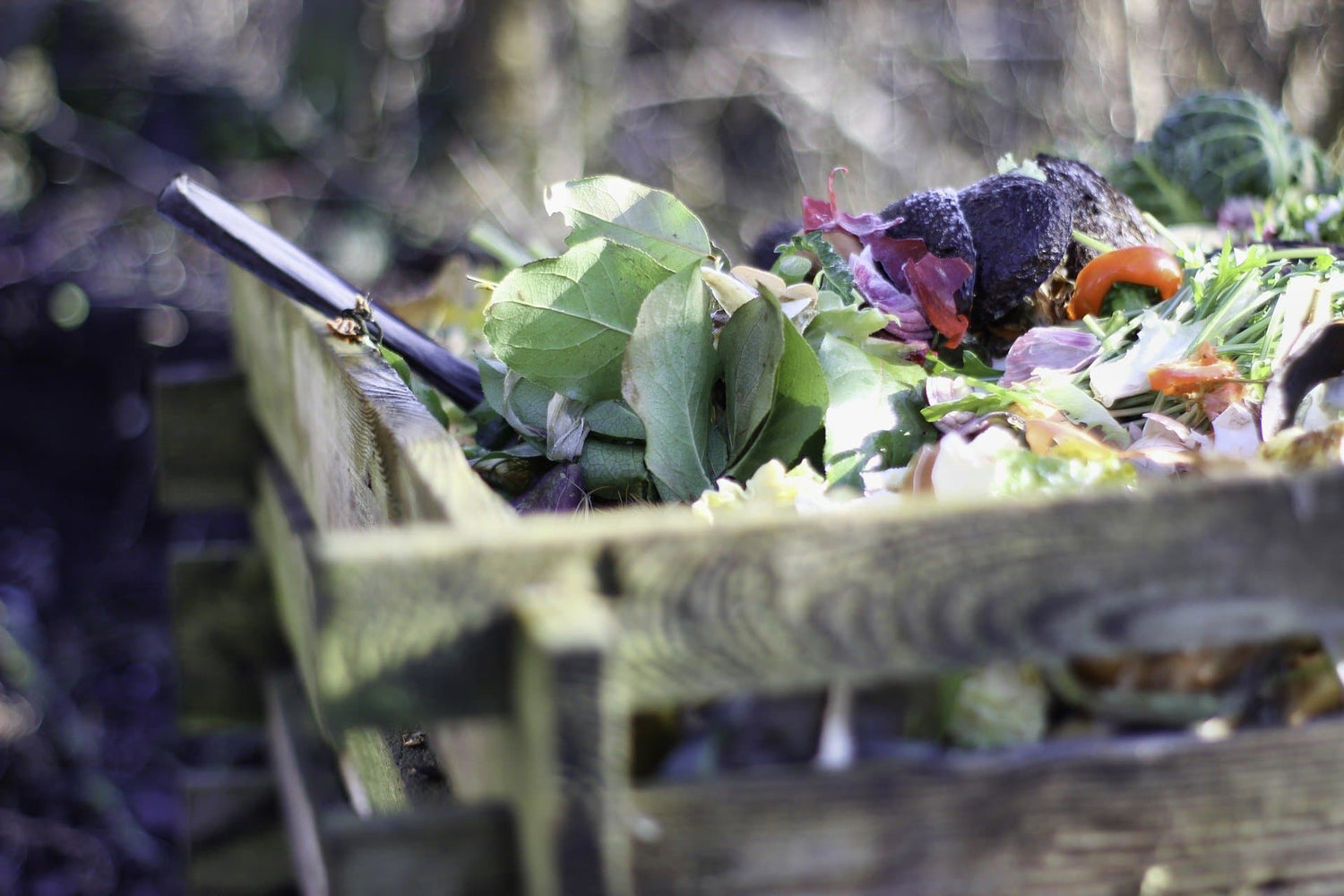 How to Choose the Right Composter - Eartheasy