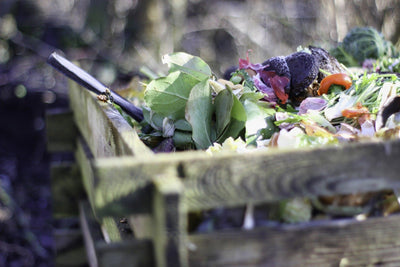 Compost bins and tumblers in a garden