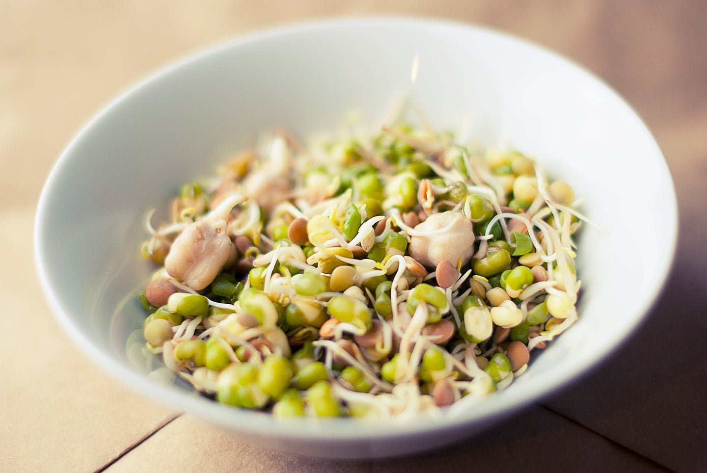 How to Grow Sprouts at Home - Eartheasy