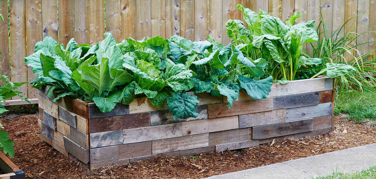 How to Grow the Best Food Imaginable in Your Raised Garden Beds - Eartheasy