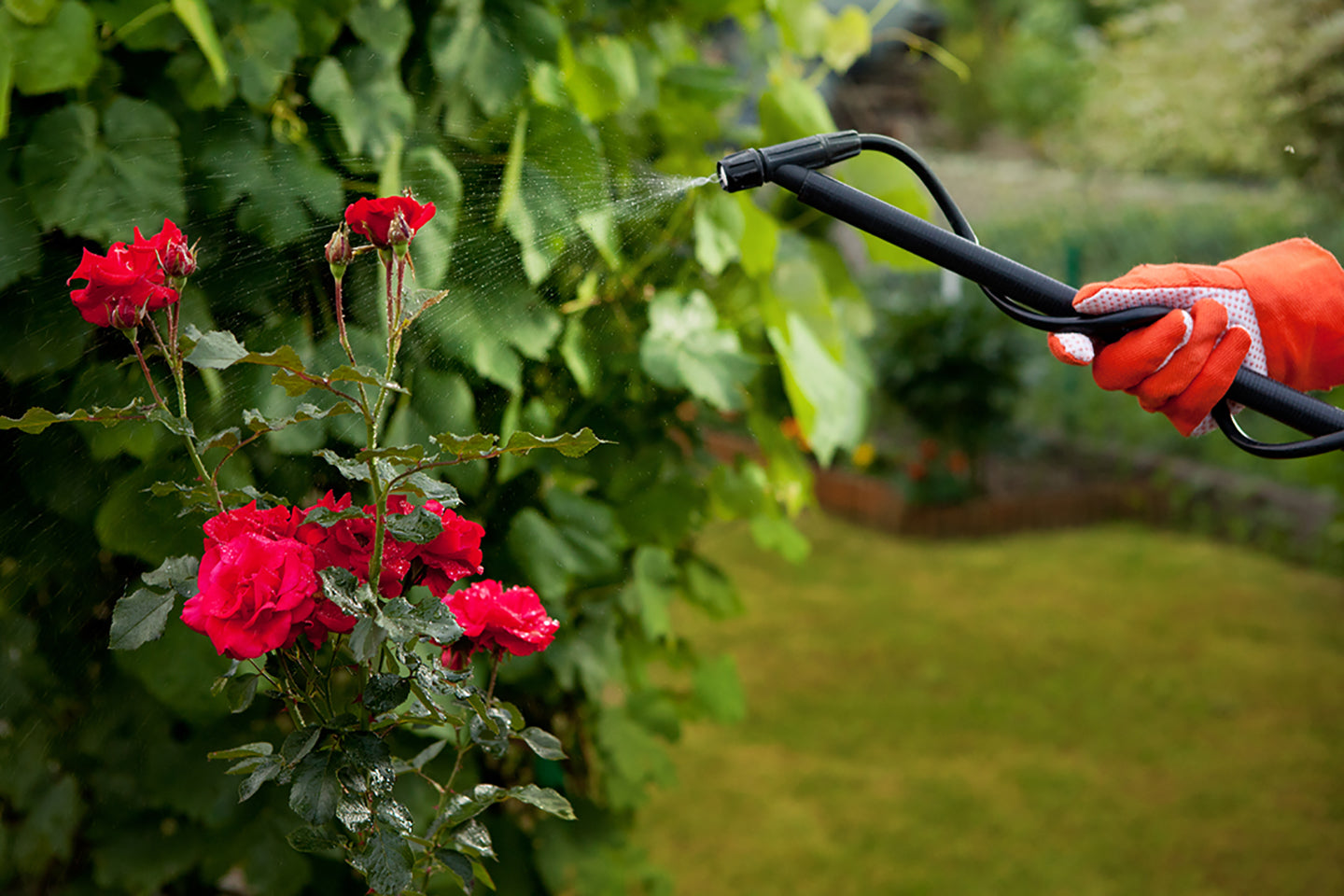 How to Understand Labels on Natural and Chemical Pesticides