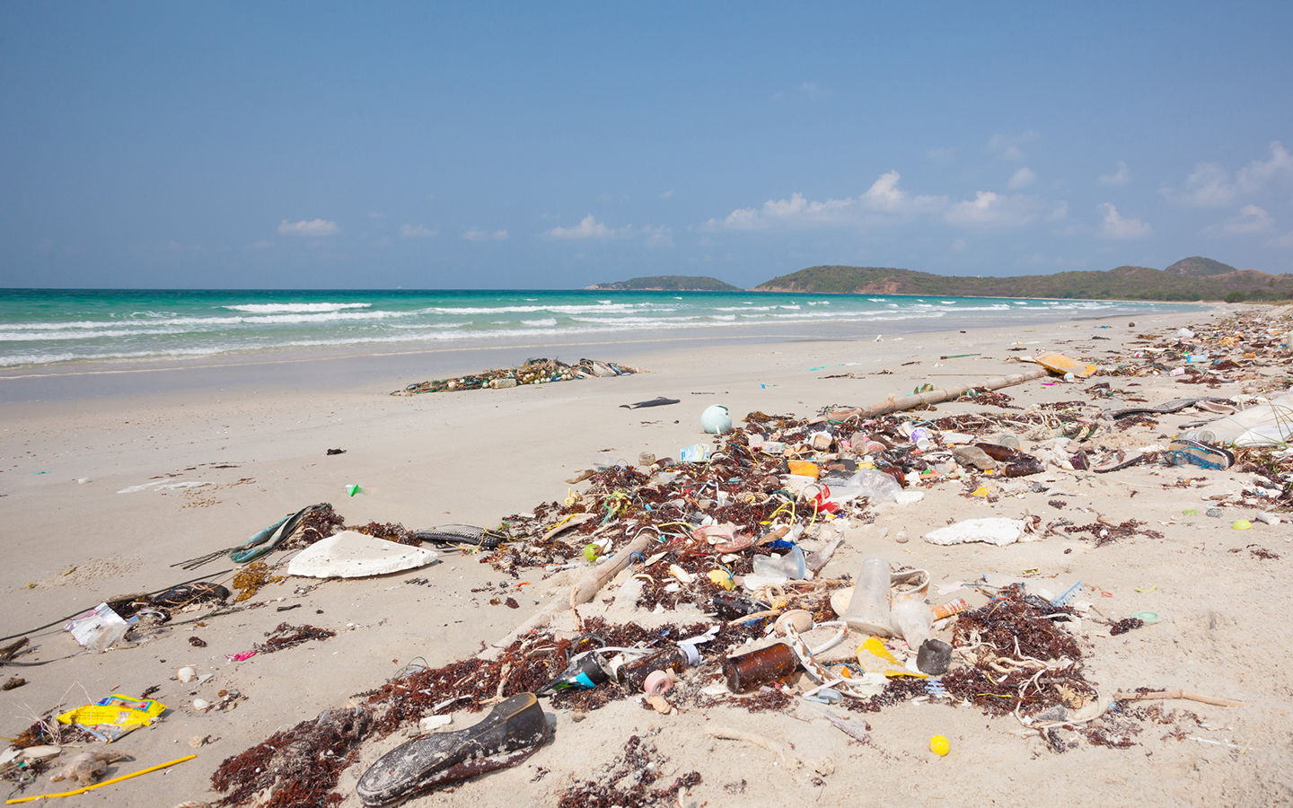 Microscopic Plastic Particles May Be Entering Food Chain