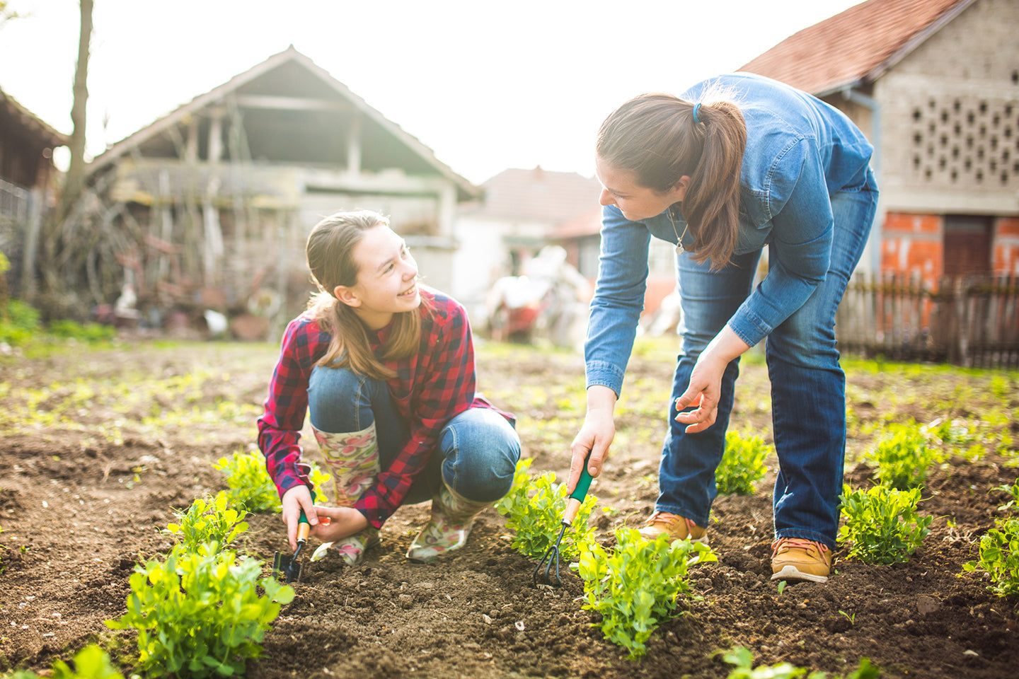 No-Till Gardening