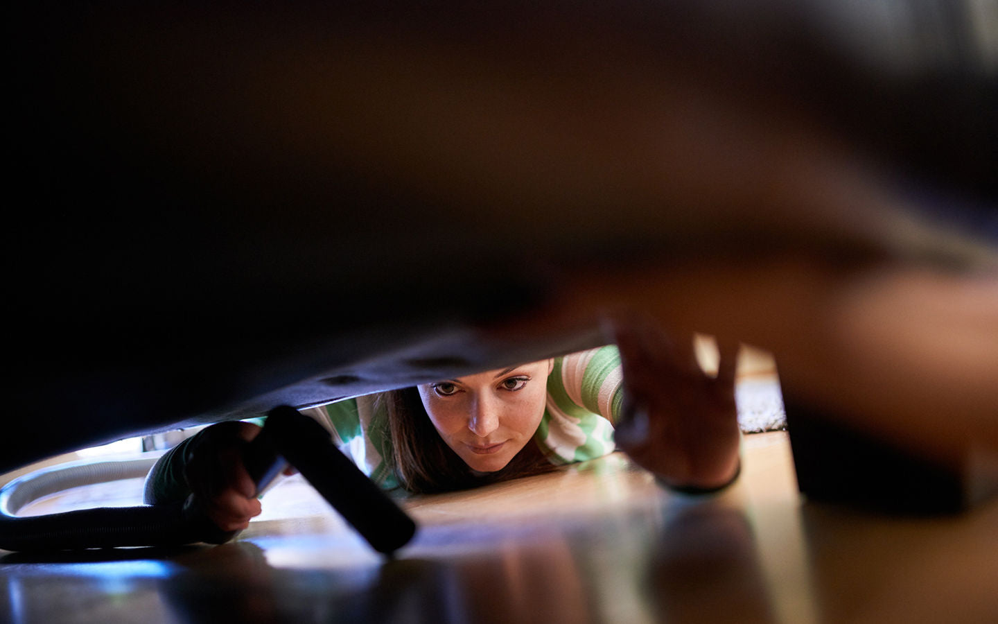 Natural, Nontoxic Bed Bug Control