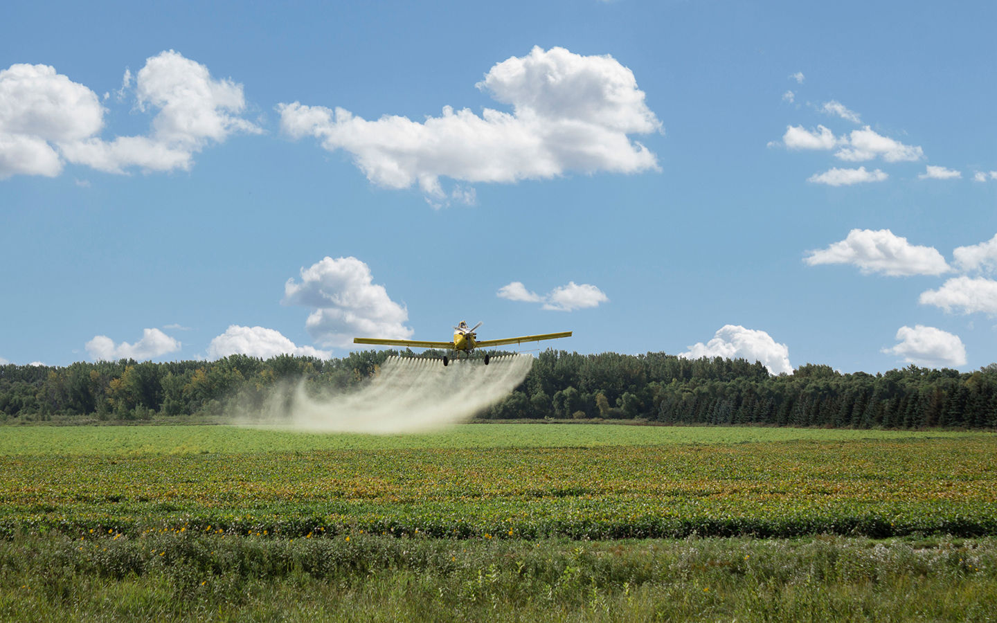 Pesticide Exposure May Increase Risk of ADHD in Children
