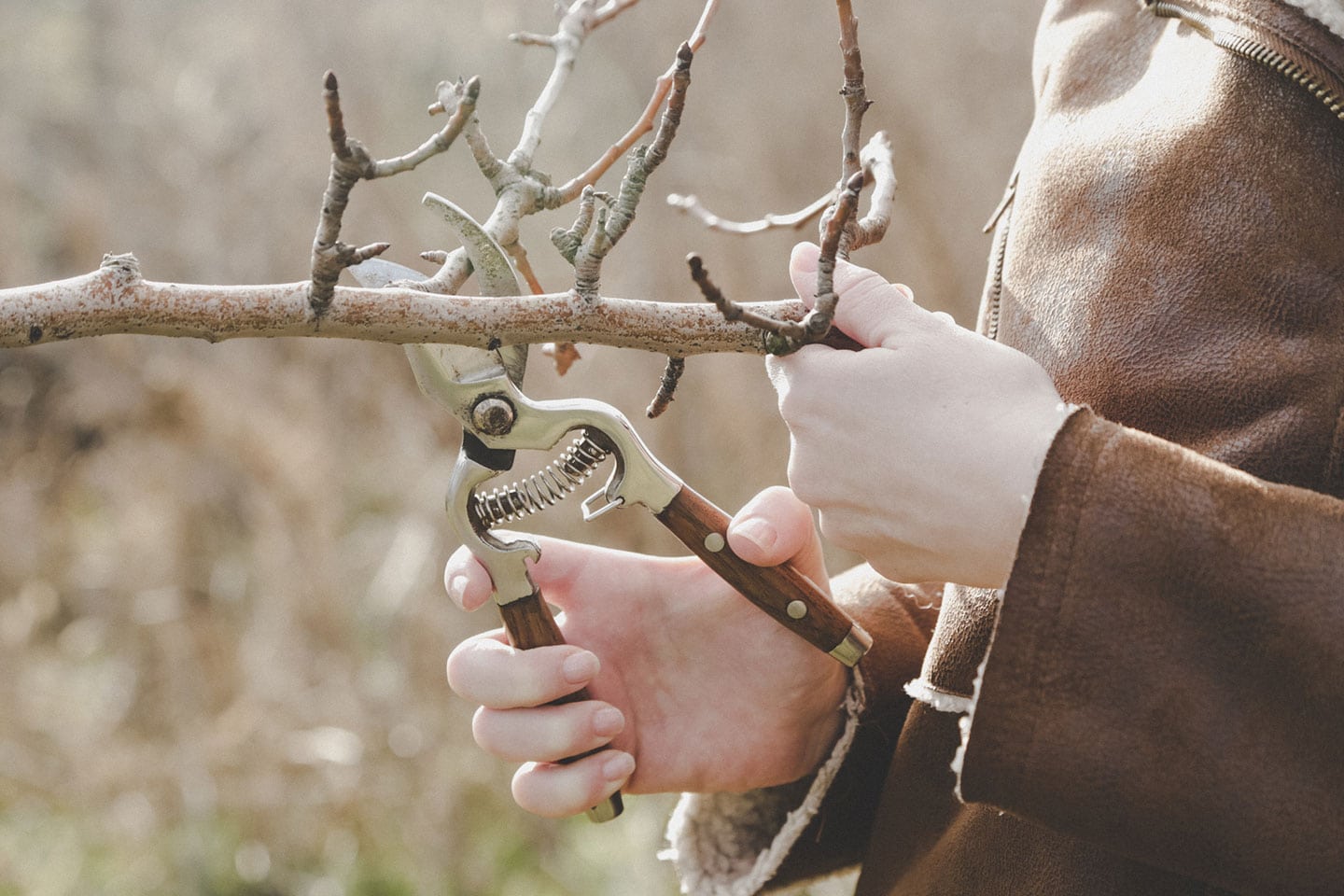 Pre-Season Pole Pruner Checklist