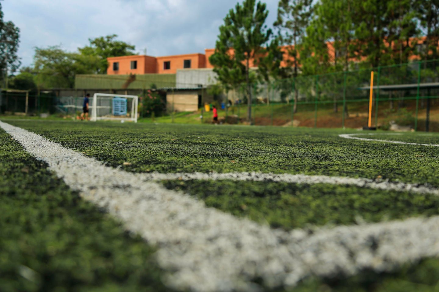 Is Artificial Turf Safe for Athletes? - Eartheasy