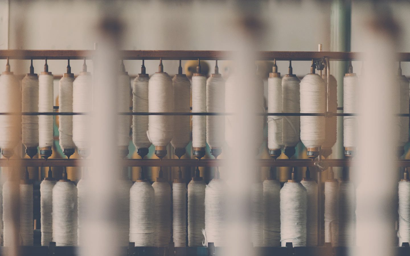 Organic Cotton Clothing