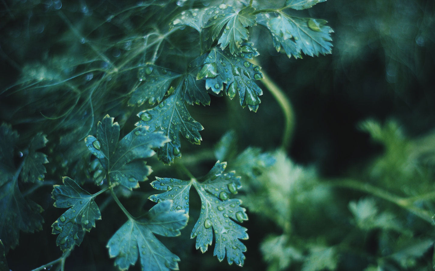 What Can Listening to Nature Teach Us?