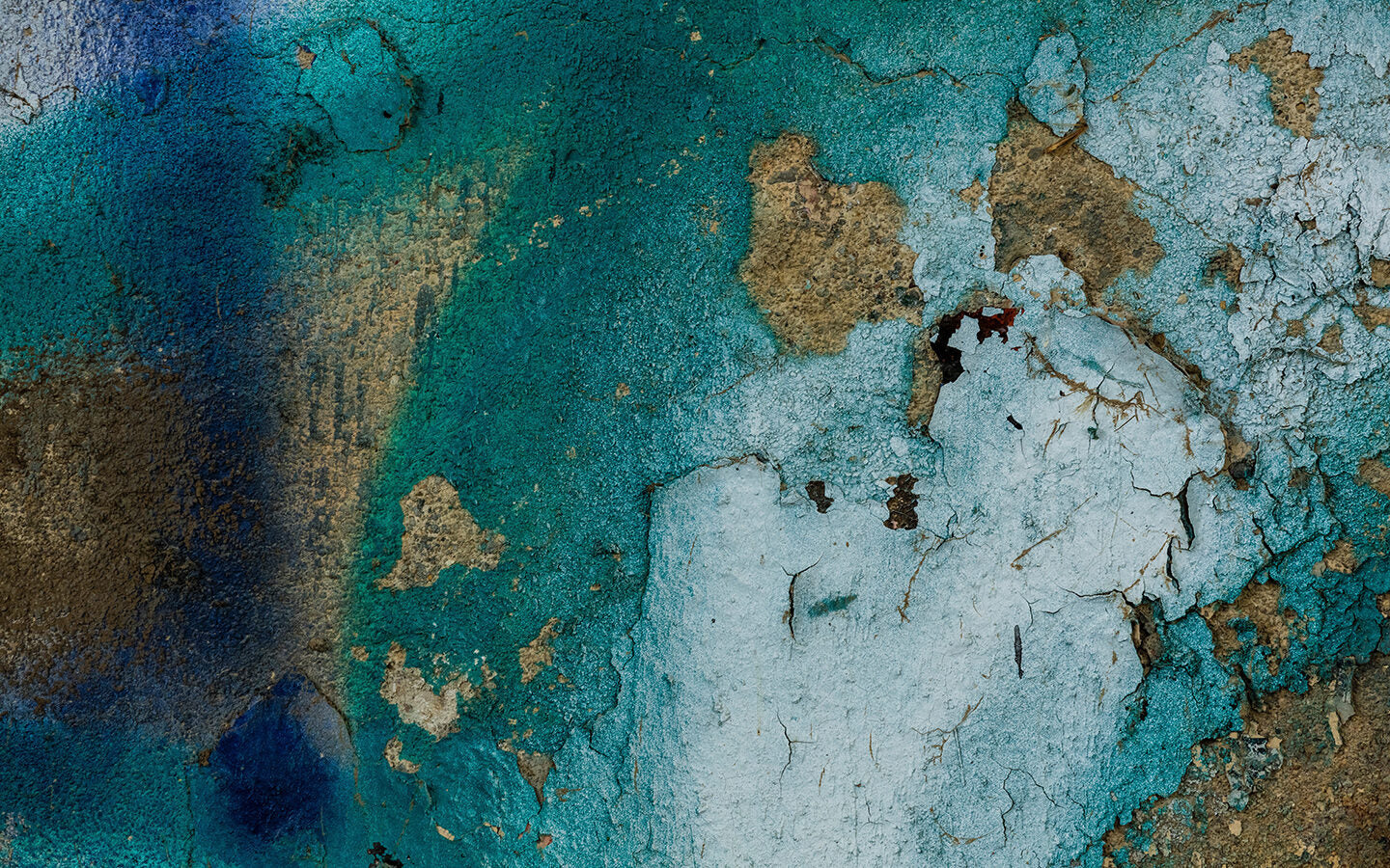 How to Reduce Lead Hazards in Your Home