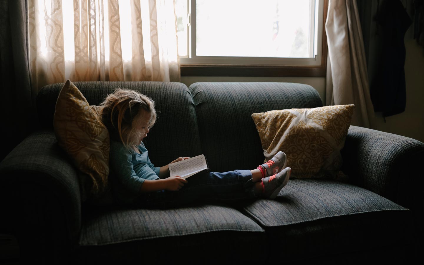 How To Reduce Exposure To Indoor Toxins