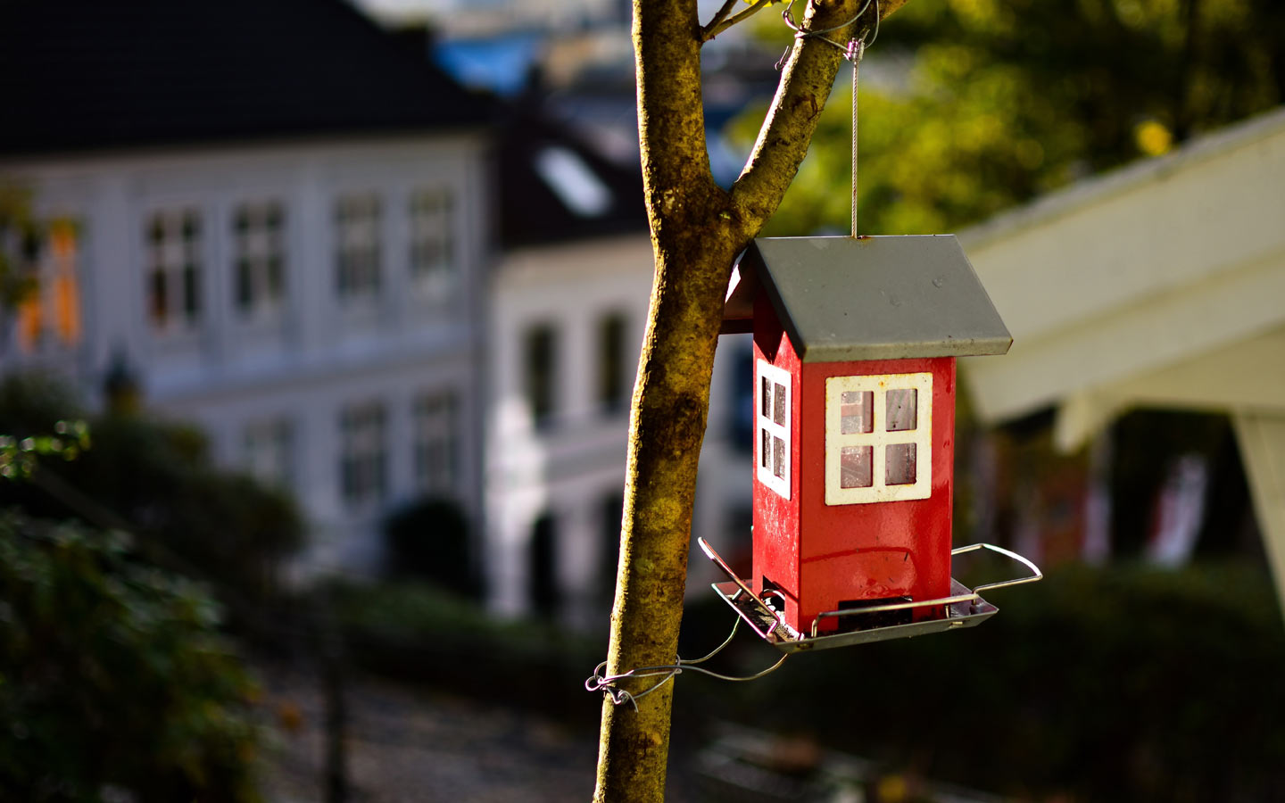 Backyard Wildlife Habitat