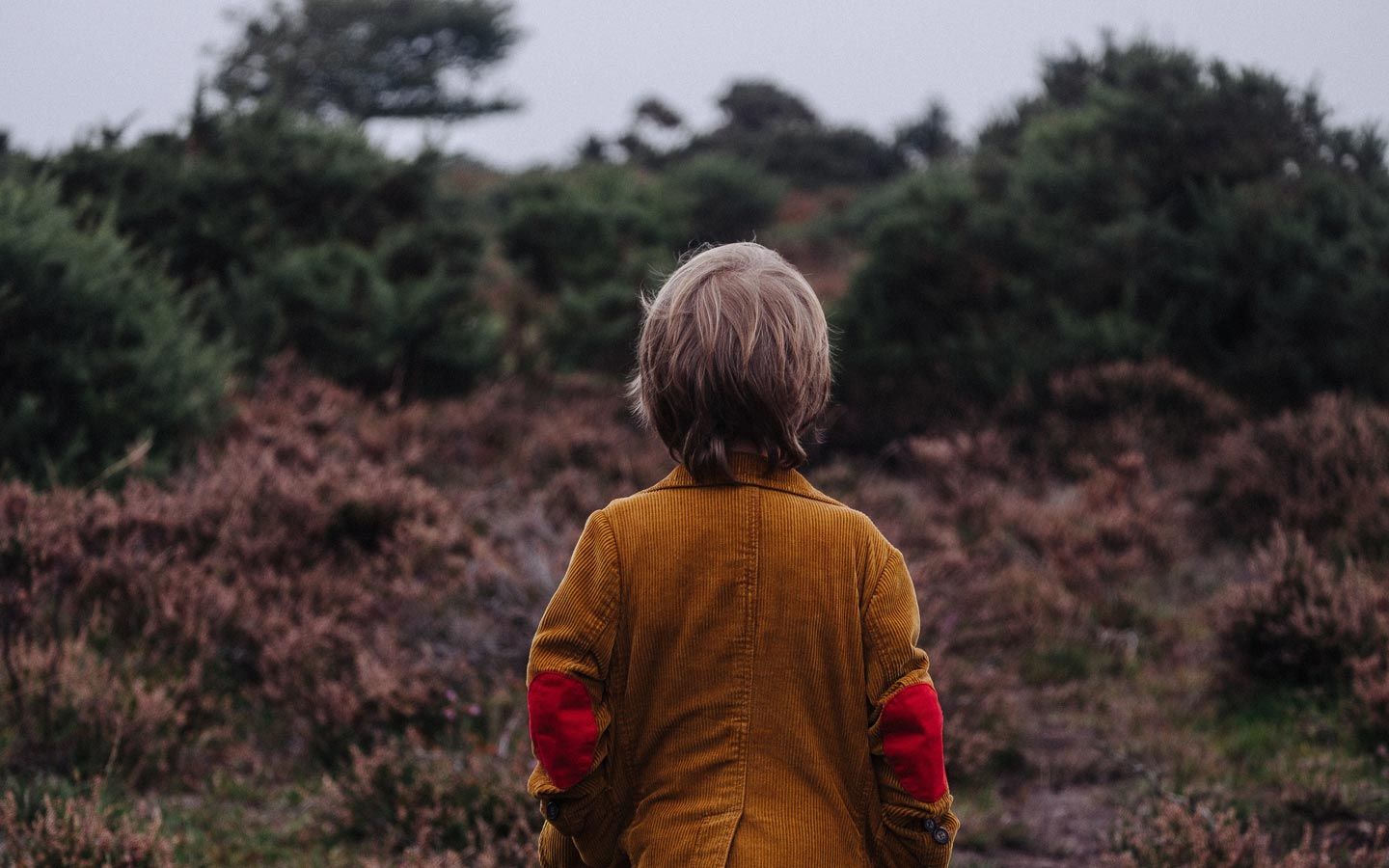 Last Child in the Woods - Eartheasy