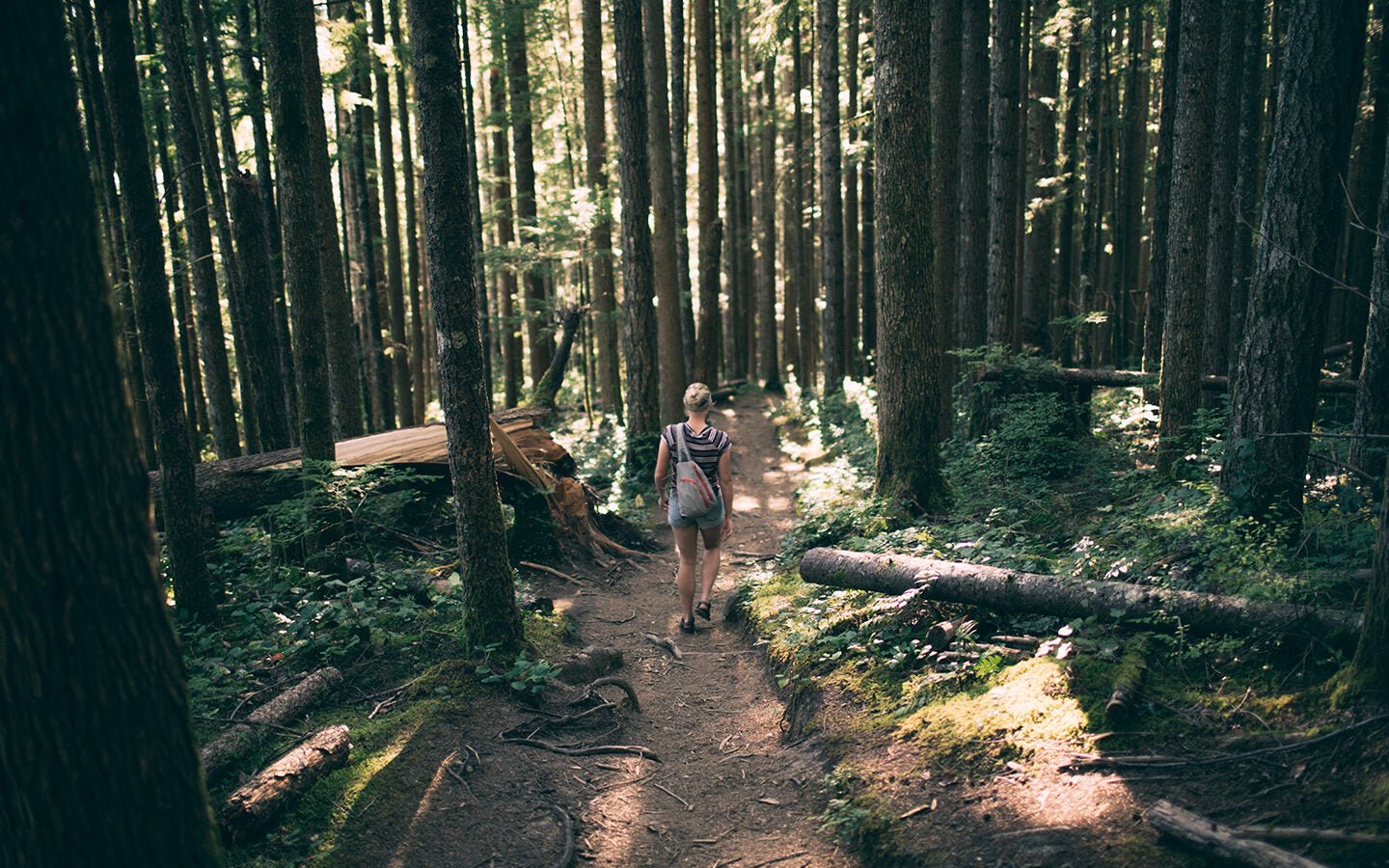 Lost Hikers May be Going in Circles, Study Says - Eartheasy