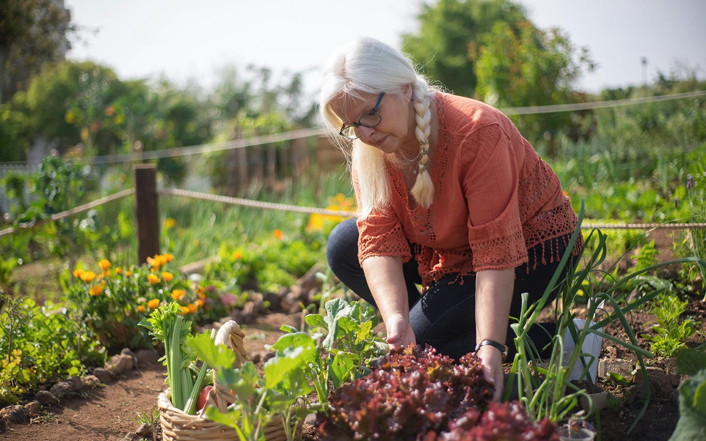 Master Succession Planting to Increase Your Garden’s Yield - Eartheasy