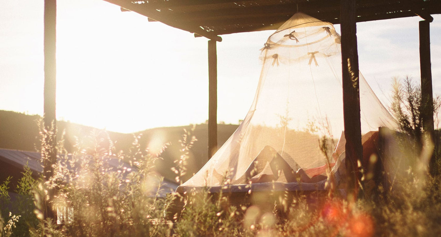 What Keeps Mosquitoes Away? Controls That Actually Work