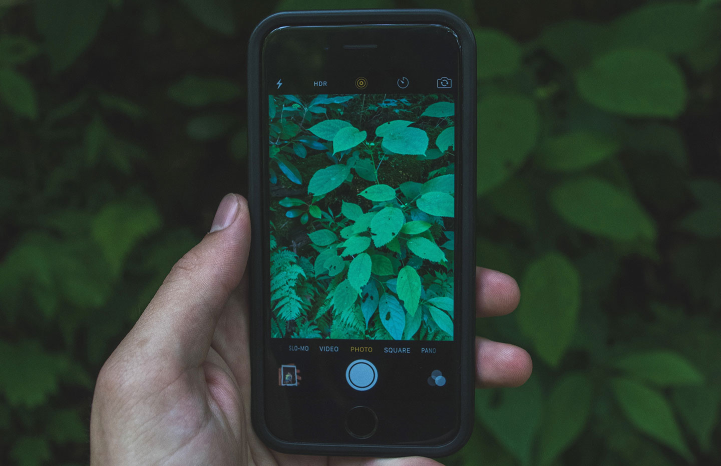 Can Technology Help Us Connect With Nature?