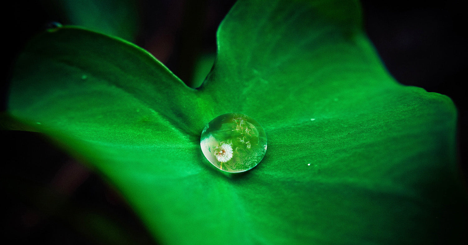 7 Life Lessons Your Garden Can Teach You