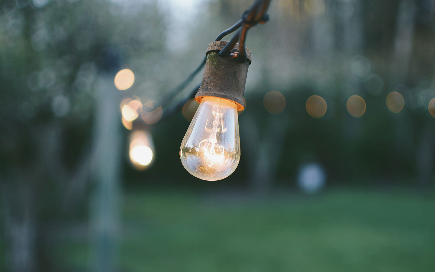 Next Steps for a Low-Carbon Lifestyle (Part 2 of 2)