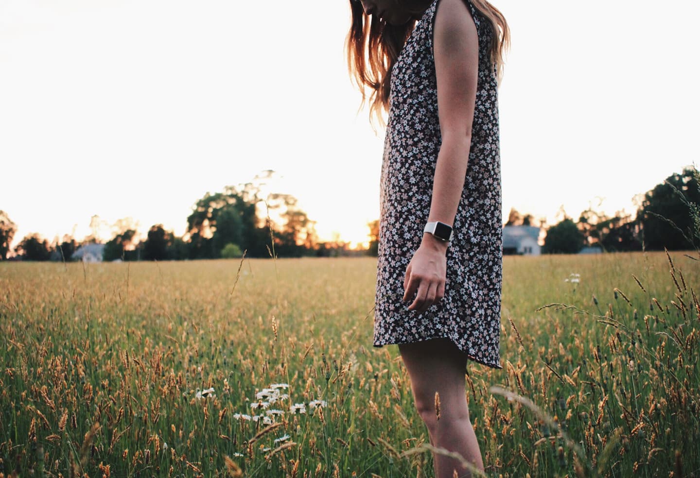 One Bite from This Tick Can Make You Allergic to Red Meat - Eartheasy