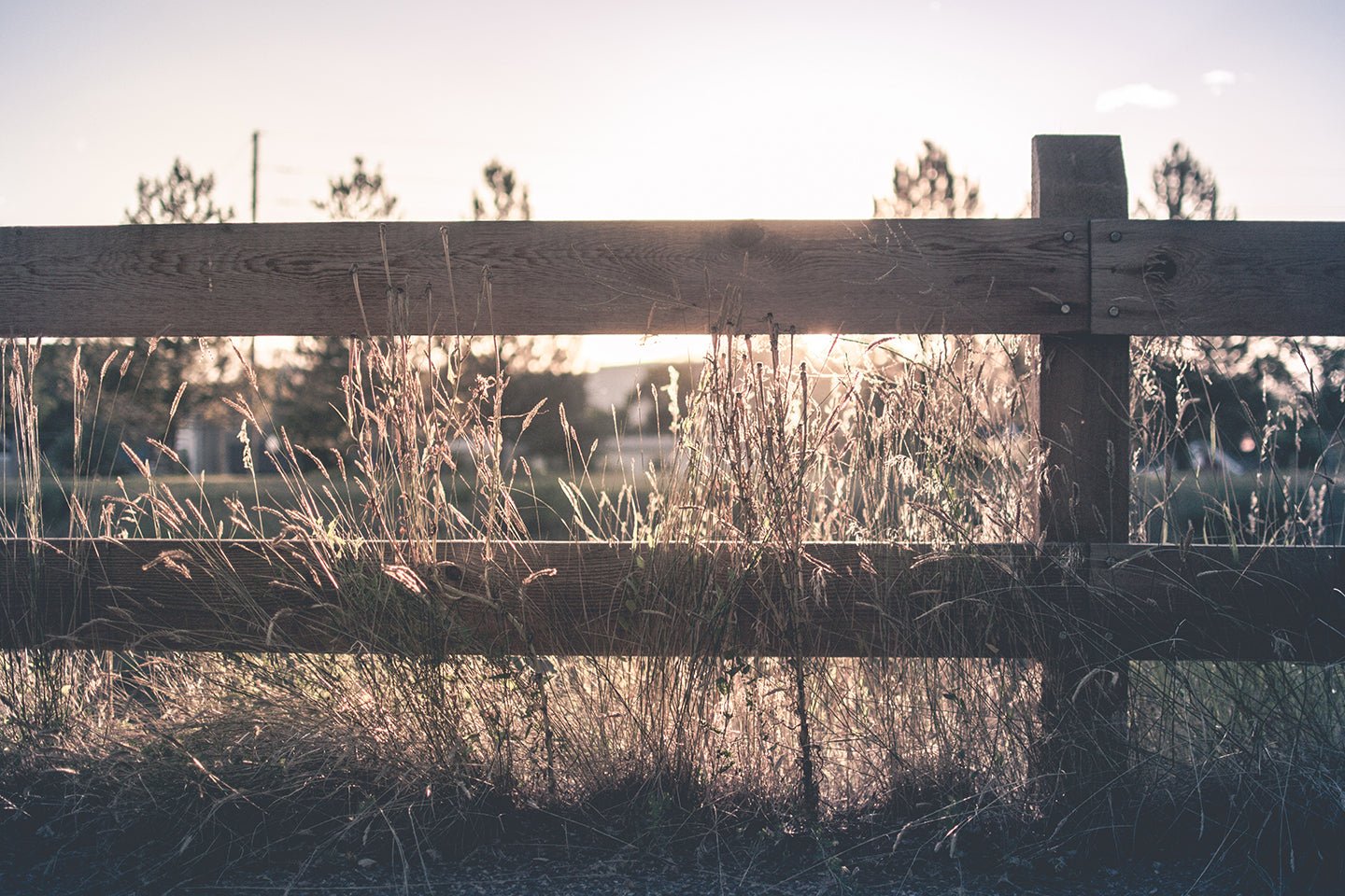 Our Biggest Homesteading Mistakes - Eartheasy
