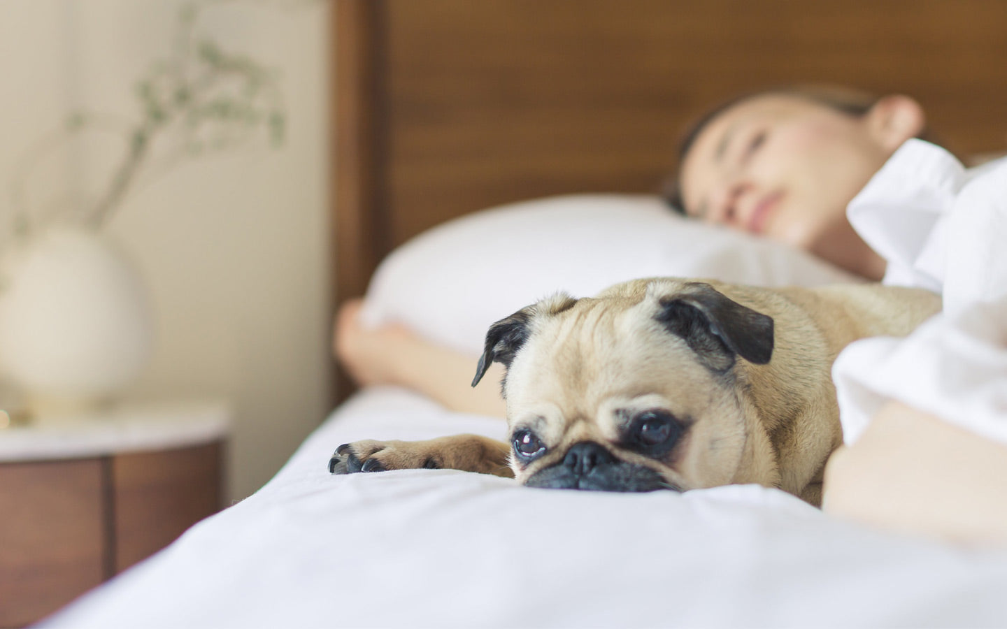 Natural Flea Control