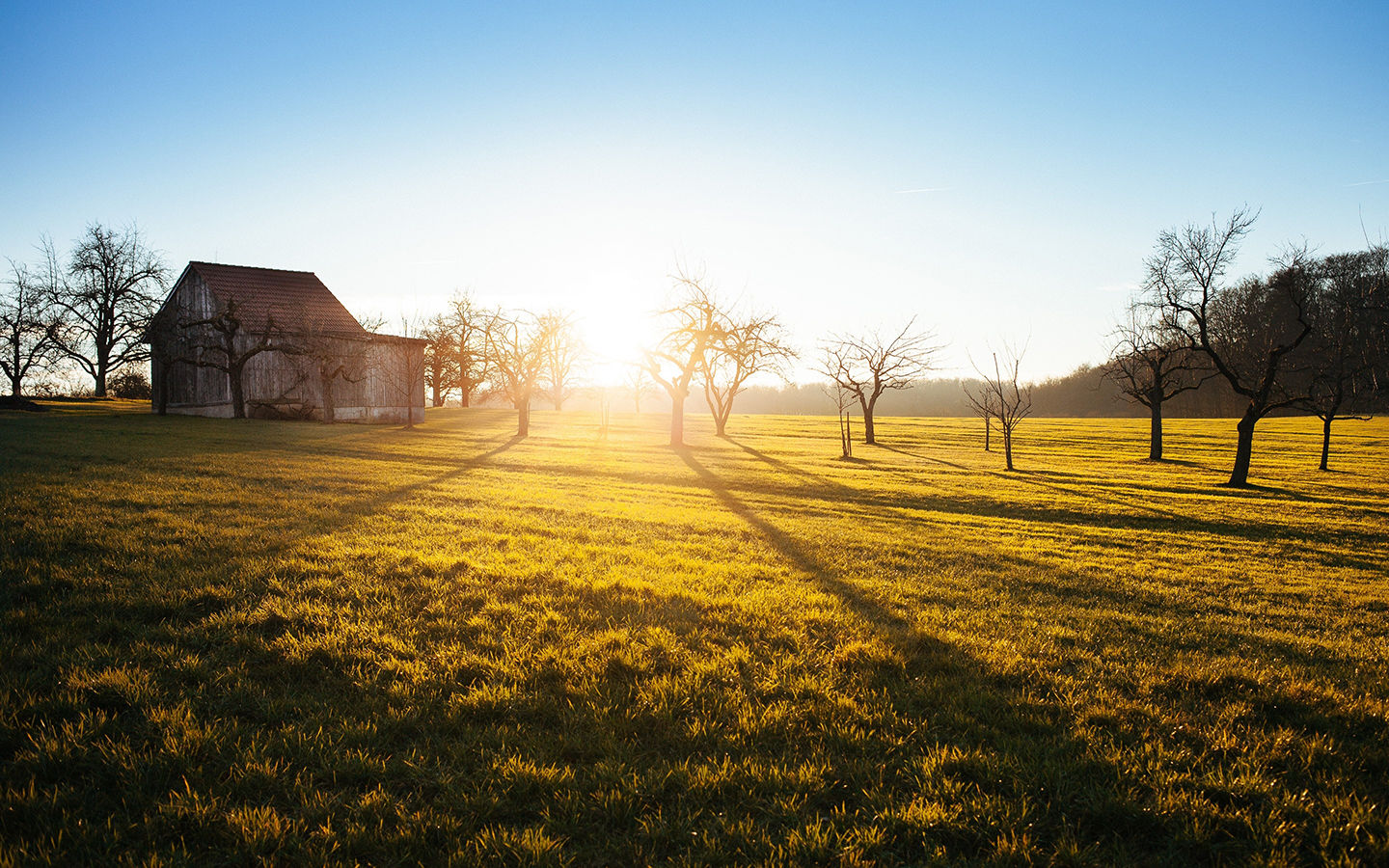A City Woman’s Impressions on Starting a Farm
