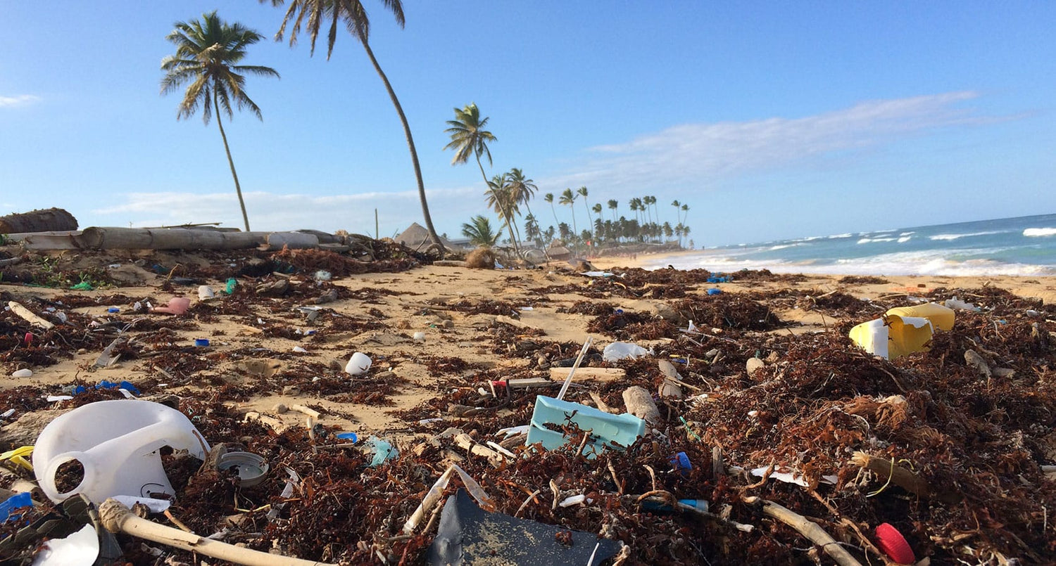 How to Reduce Plastic Pollution in 15 Easy Swaps