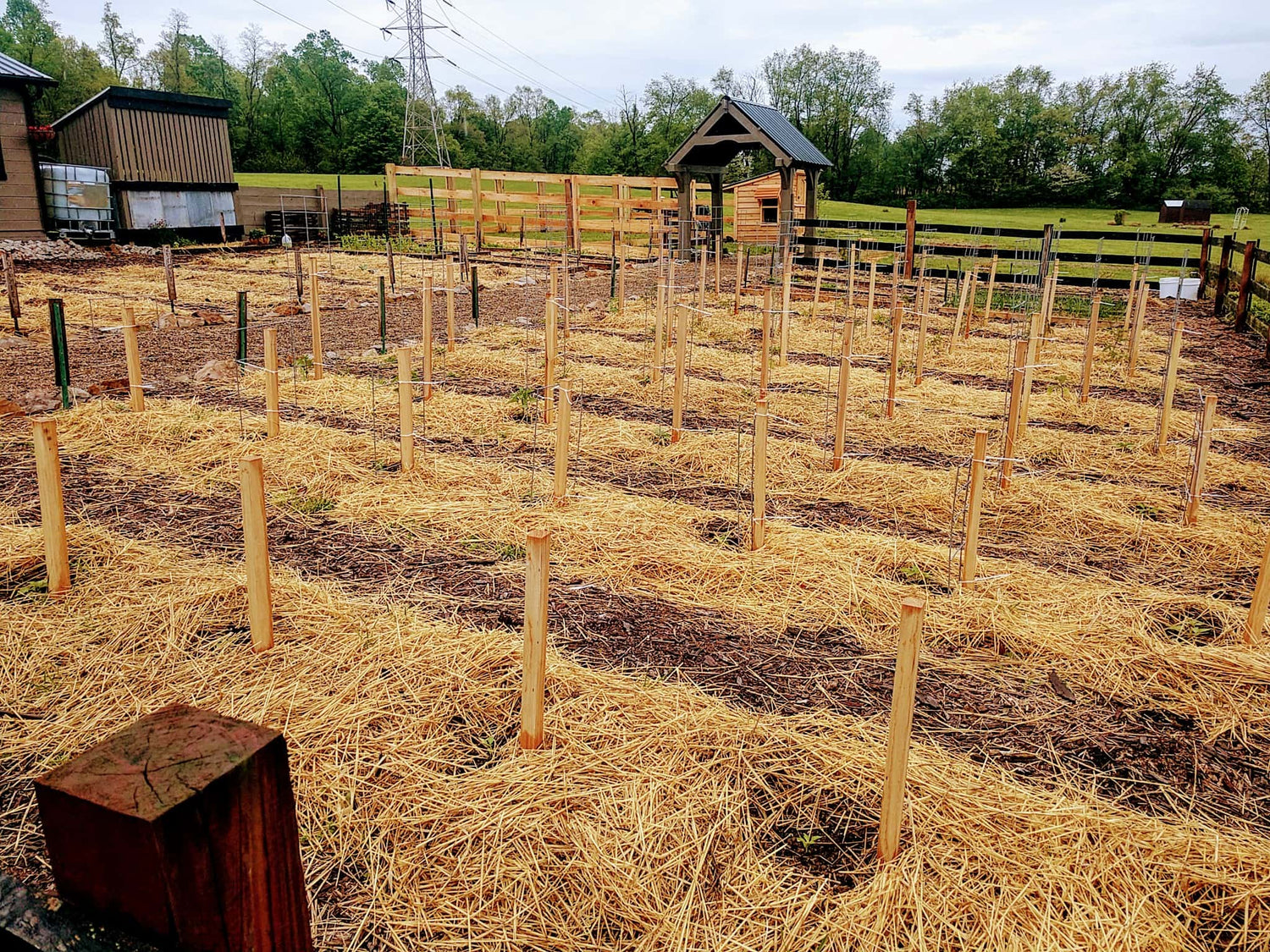 Raised Rows: The Best No-Till Gardening Method - Eartheasy