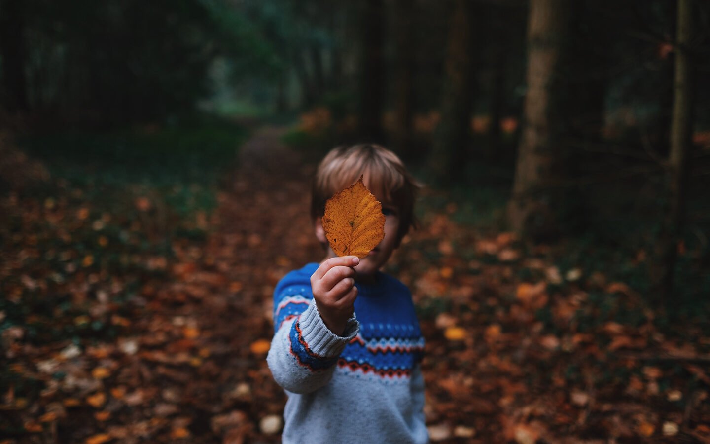Raising a Conservation Generation - Eartheasy