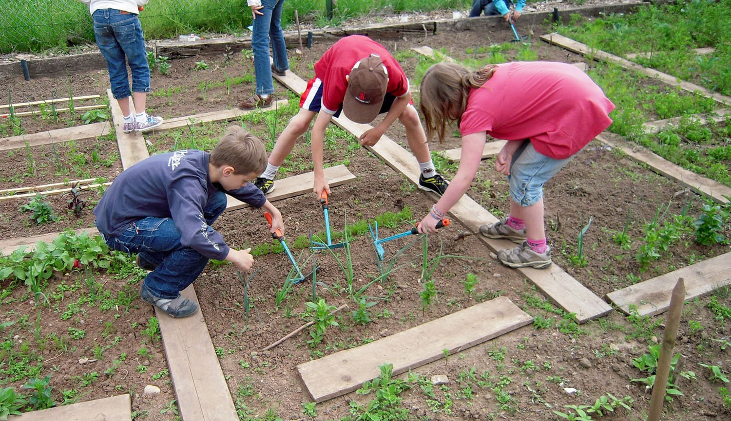 School Gardens: Can They Make Our Children Smarter? - Eartheasy