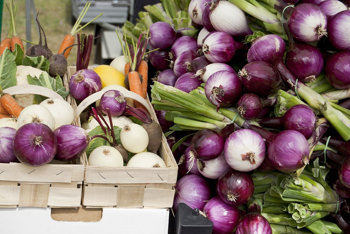 Should You Buy a Farm Share? 10 Reasons to Join Your Local CSA - Eartheasy