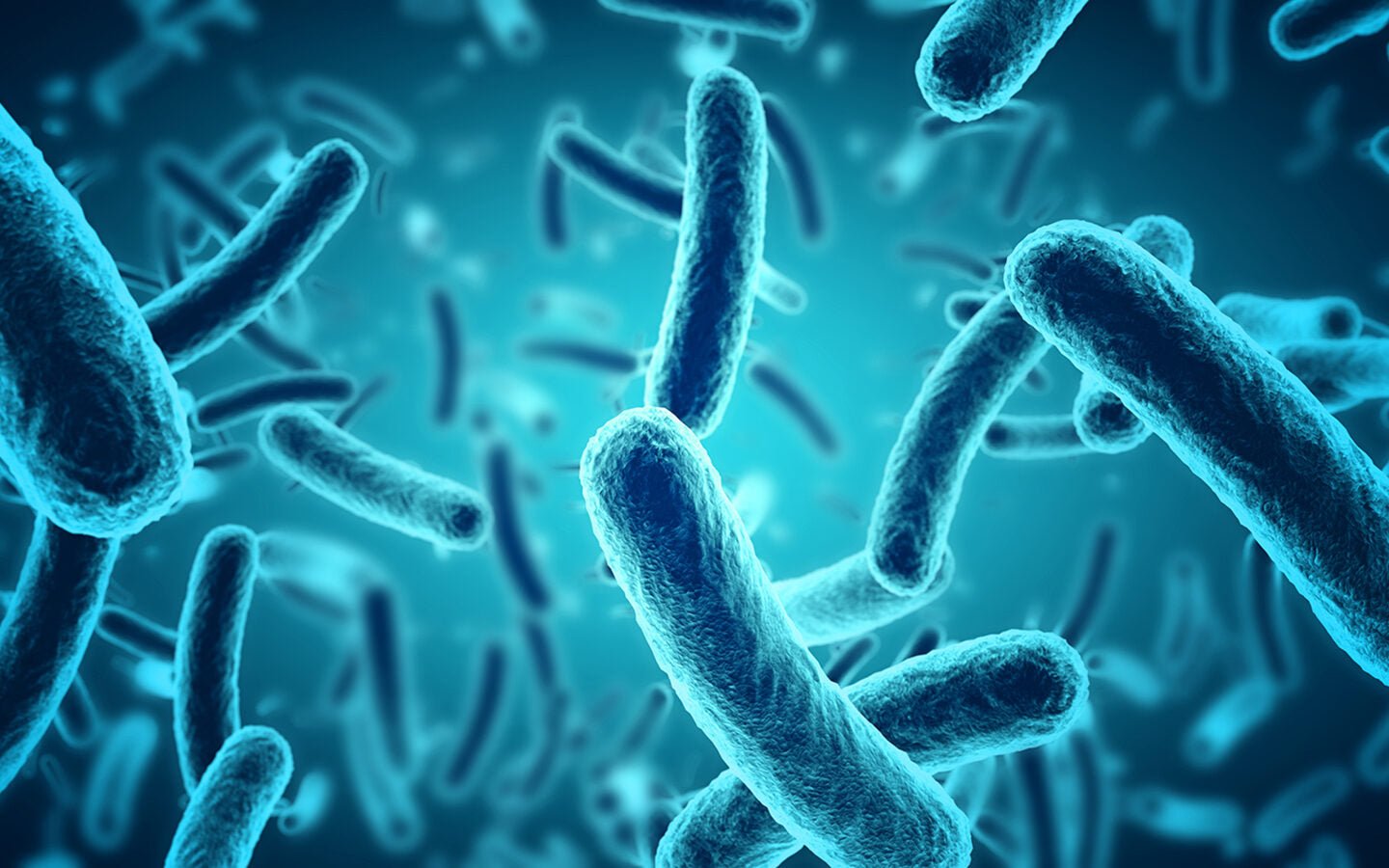 Stop Killing the Microbes that Keep Us Healthy: 5 Strategies - Eartheasy