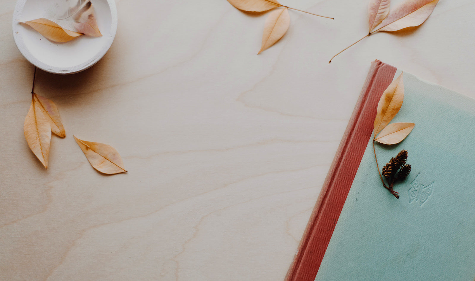5 Sustainable Reads to Comfort and Inspire