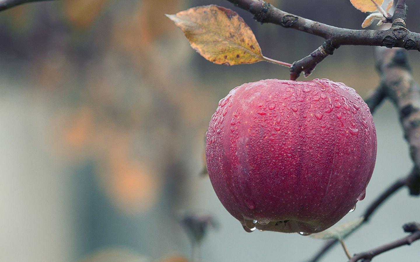 Systemic Pesticides and Food Health - Eartheasy