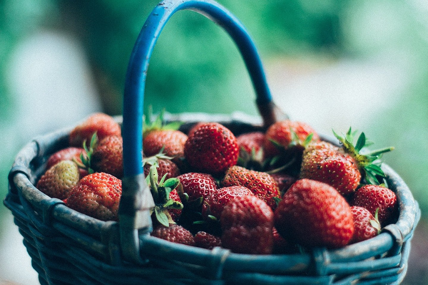 The Best Organic Fertilizers to Double Your Harvest - Eartheasy