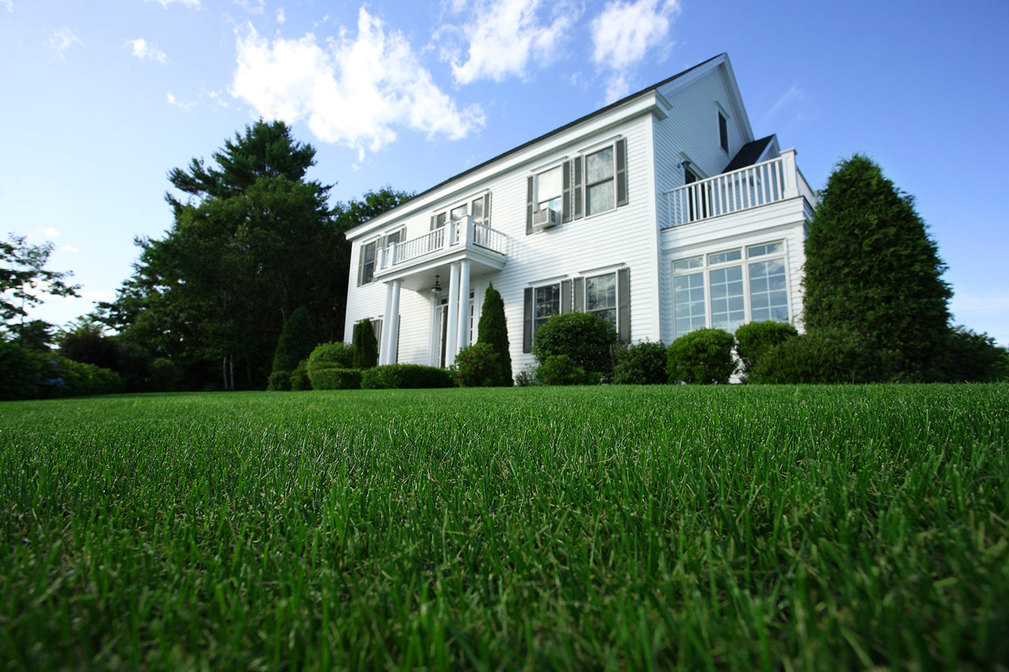 How to Reduce the Size of Your Lawn