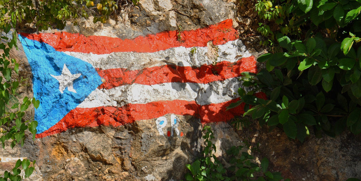 This Gift is Saving Lives in Puerto Rico - Eartheasy
