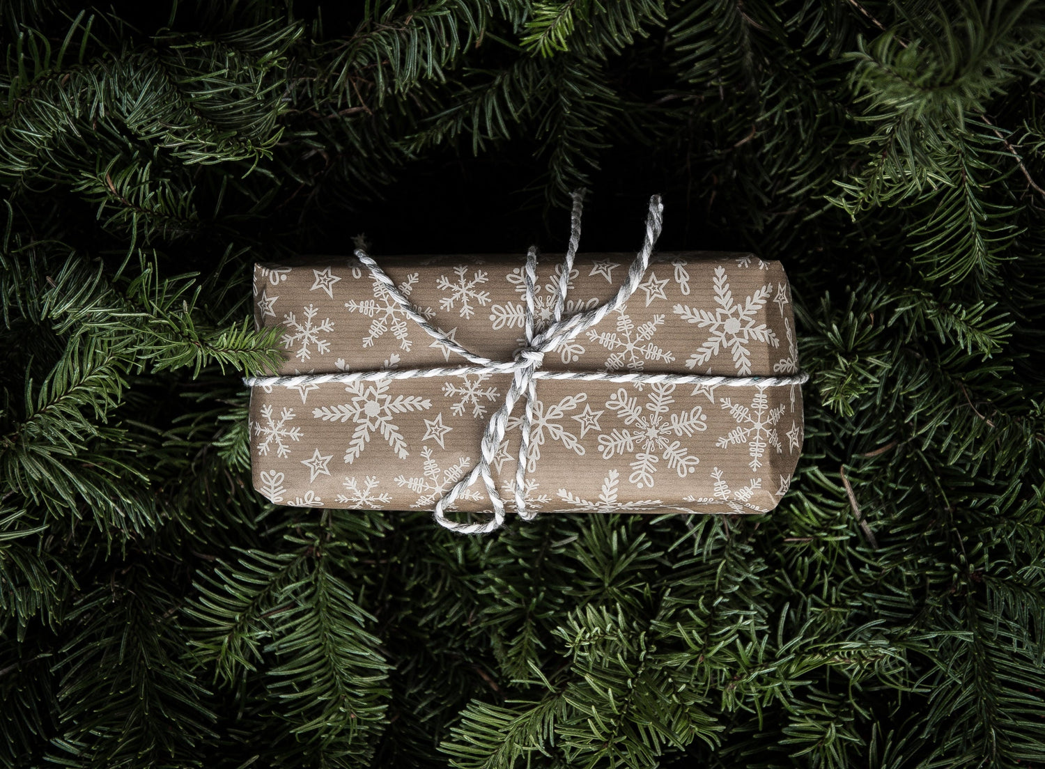 Tips for Sustainable Giving - Eartheasy