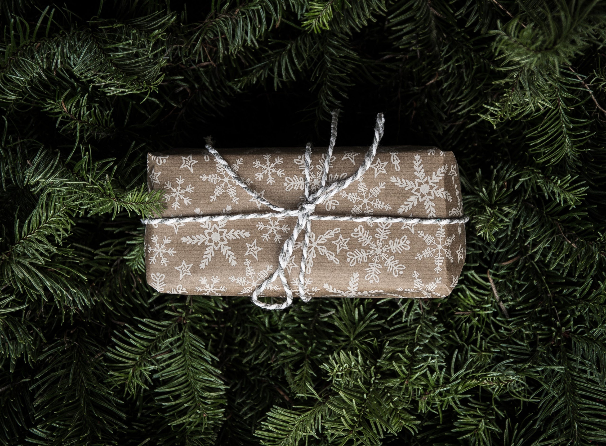 Tips for Sustainable Giving - Eartheasy