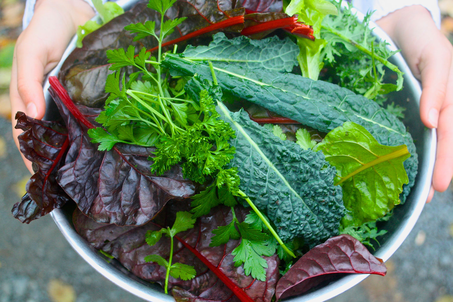 5 Greens You Can Eat in Winter and Early Spring